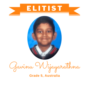 Gavinu Wijayarathna