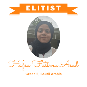 Hafsa Fatima Asad