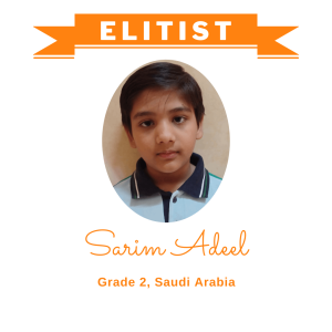 Sarim Adeel