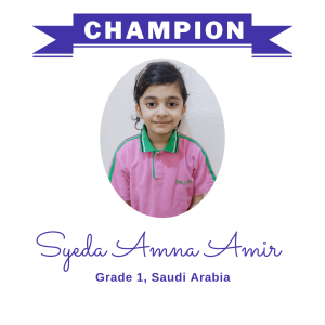 Syeda Amna Amir