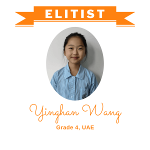 Yinghan Wang