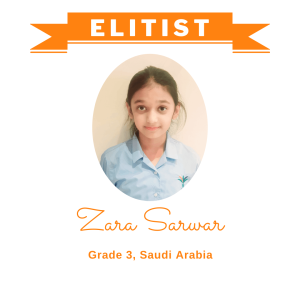 Zara Sarwar