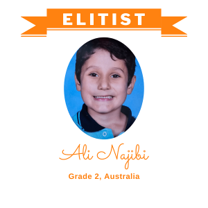 Ali Najibi