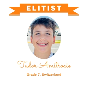 Tudor-Amitroaie