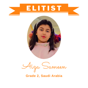 (Bulk 1) Elitist Dec 2025 - Aiza Sameen