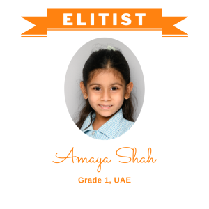 (Bulk 1) Elitist Dec 2025 - Amaya Shah