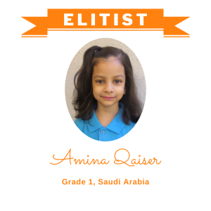 (Bulk 1) Elitist Dec 2025 - Amina Qaiser