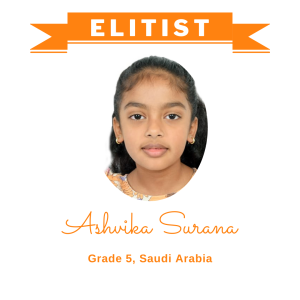 (Bulk 2) Elitist Dec 2025 - Ashvika Surana