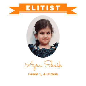 (Bulk 1) Elitist Dec 2025 - Ayra Shaik