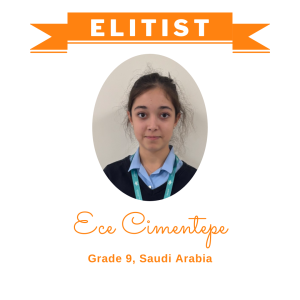 (Bulk 5) Elitist Dec 2025 - Ece Cimentepe