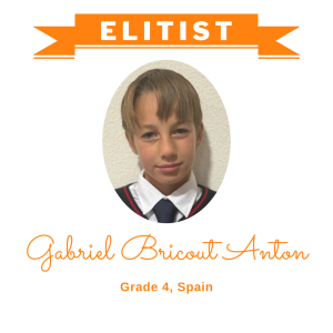 (Bulk 2) Elitist Dec 2025 - Gabriel Bricout Anton