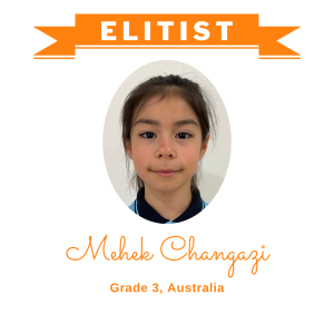 (Bulk 1) Elitist Dec 2025 - Mehek Changazi