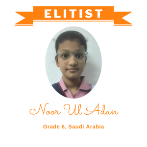 (Bulk 3) Elitist Dec 2025 - Noor Ul Adan