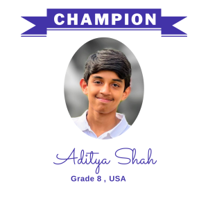 (Bulk 1) champion nov 2023 - Aditya Shah