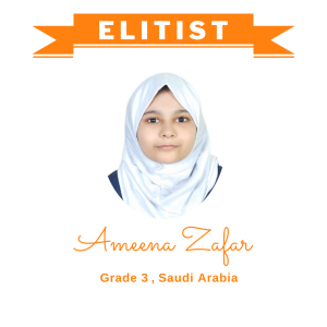 elitist 1 nov 2023 - Ameena Zafar