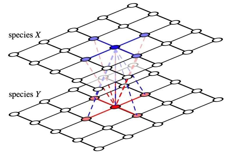 Mathematicians model a puzzling breakdown in cooperative behaviour