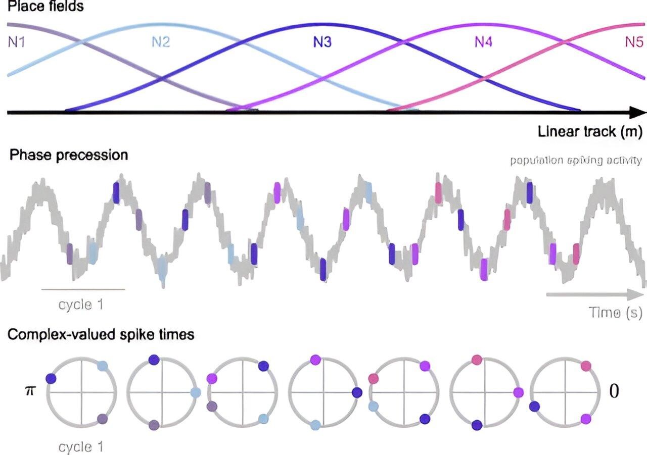 New math approach provides insight into memory formation