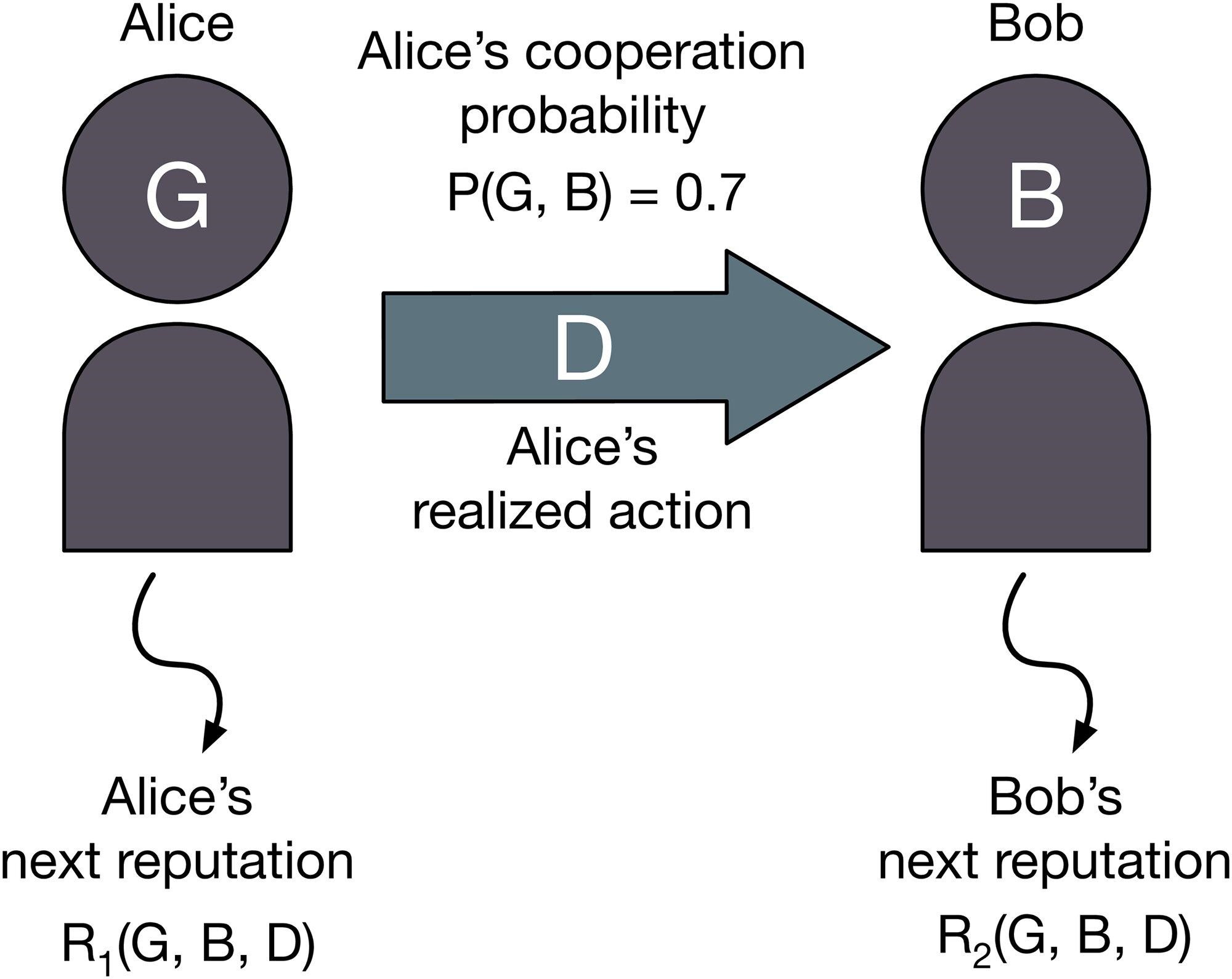 Study describes evolution of double-sided social norms for cooperative interactions