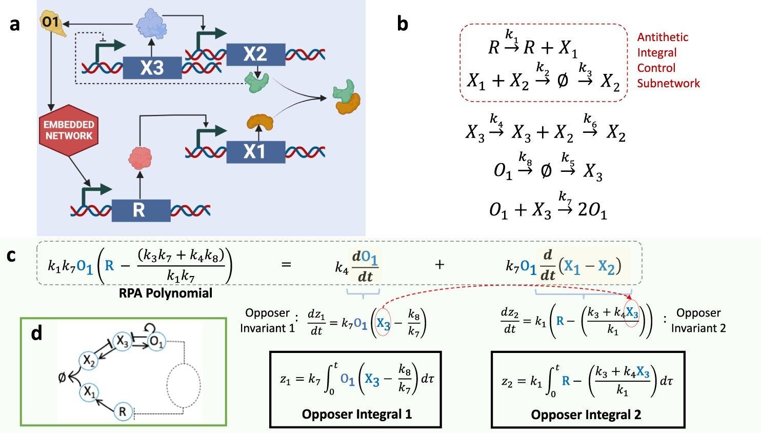 Math unlocks molecular interactions that open window to how life evolved