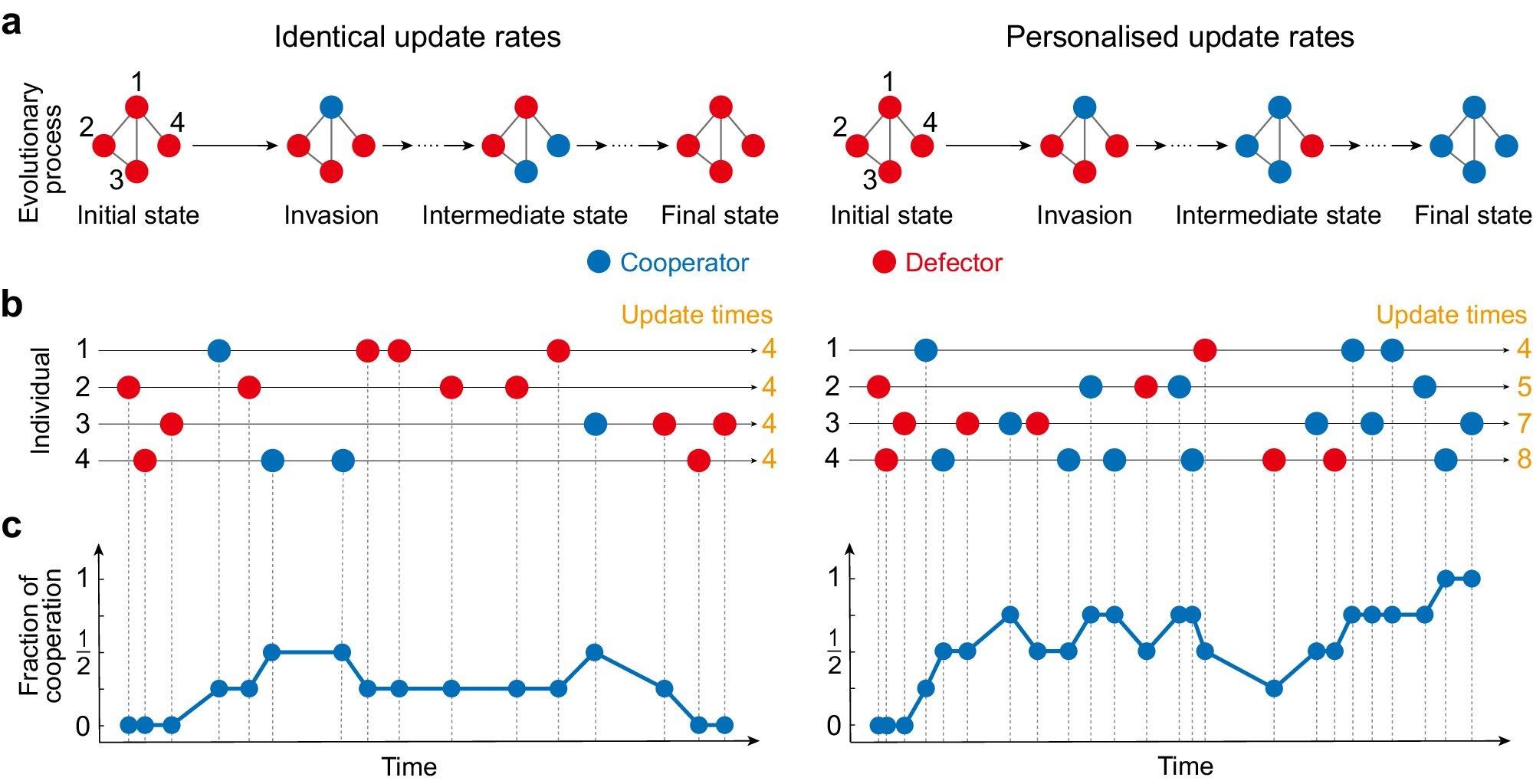 A surprising result for a group’s optimal path to cooperation