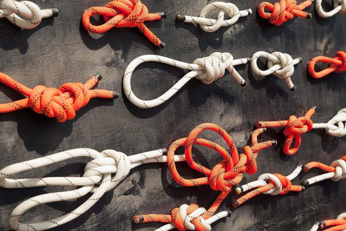 What The Mathematics of Knots Reveals About The Shape of The Universe